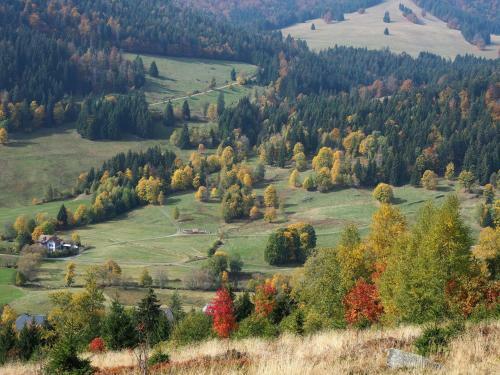 Apartamento B5 Schwarzwald-fewo An Der Alb