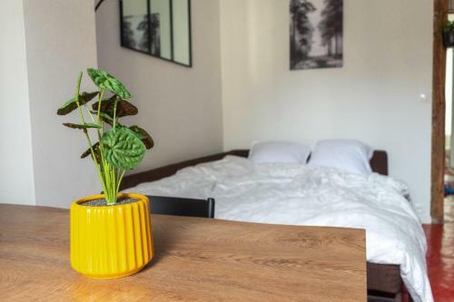 Apartamento Appartement 2 Pi�ces Chic Et Cosy � Paris