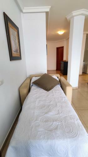 Apartamentos El Gale�n
