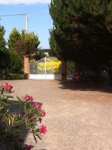 Hostal Logis De Nano