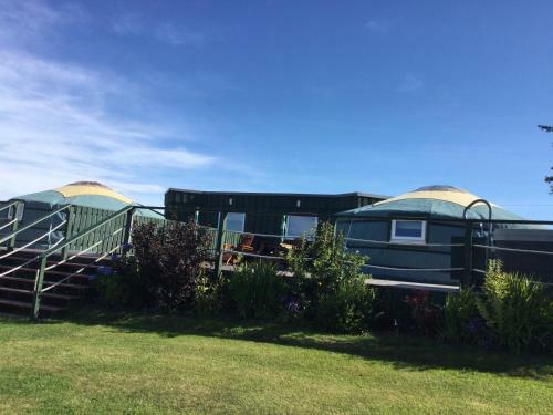 Colourful Mongolian Yurt Enjoy A New Experience