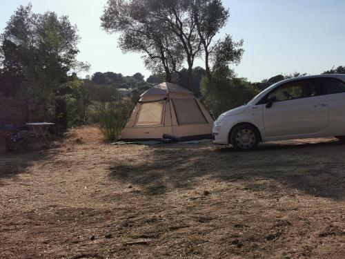 Adorable Tente Avec Parking Gratuit Sur Place