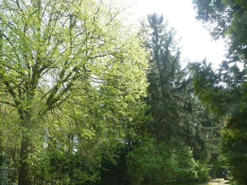 Hostal B&B Des Heures Claires