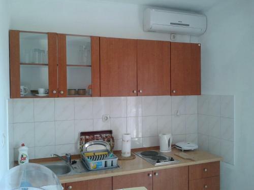 Apartments Lon?arevi?