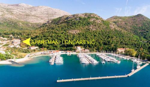 Apartments Lon?arevi?