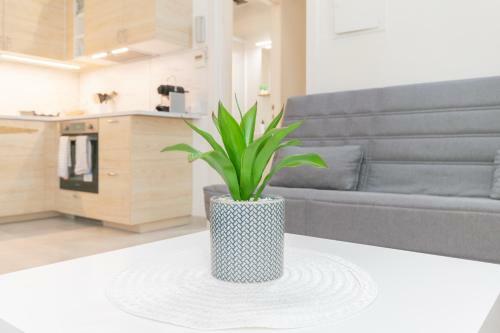 Nice City Center Apartment