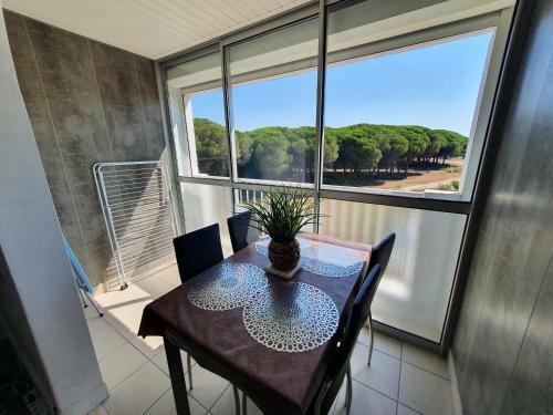 Apartamento Studio Cabine Mer Et Pin�de : 4pers, Neuf, Cosy