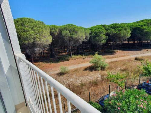 Apartamento Studio Cabine Mer Et Pin�de : 4pers, Neuf, Cosy
