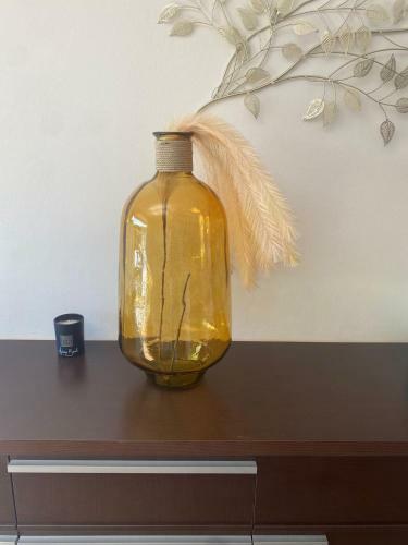 Apartamento Studio Cabine Mer Et Pin�de : 4pers, Neuf, Cosy