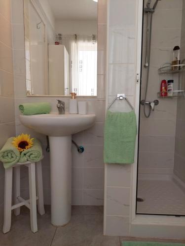 Jacuzzi House Sunflower