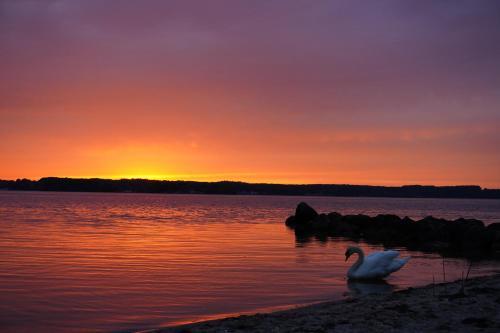 Apartamento Alte Post S�rup - Ferienwohnung An Der Ostsee (Eg)