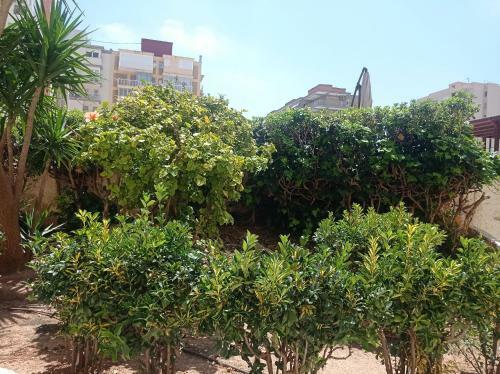 Apartamento Albatros