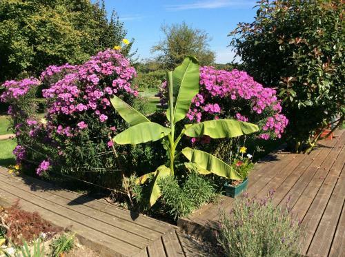 Bed & Breakfast La Grange De Georges