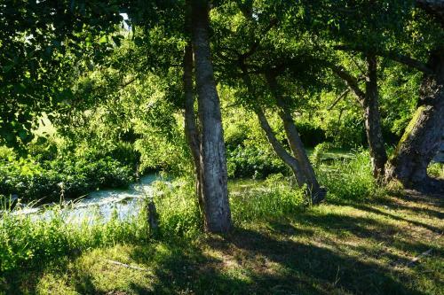 Bed & Breakfast Le Moulin De Moquesouris