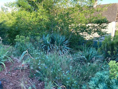 Logement Ind�pendant Avec Jardin � Rodez Aveyron