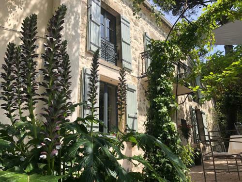 Bed & Breakfast Le Val Du Lys