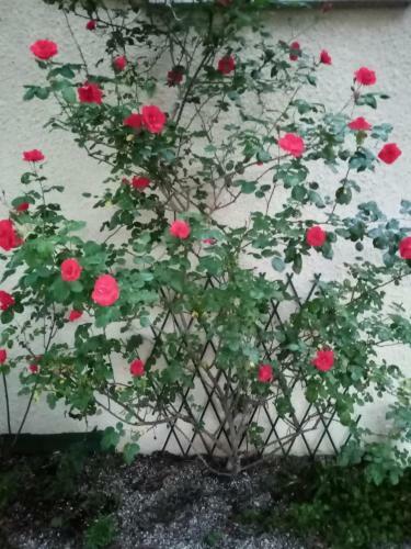 Bed & Breakfast Location Vall�e