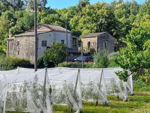 Gite En C�vennes