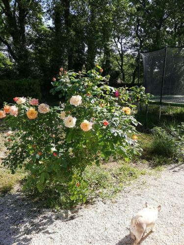 Villa de Campagne Avec Piscine Priv� Proximit� Ard�che