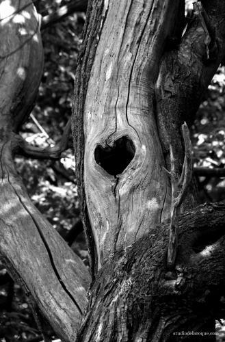 Bed & Breakfast Domaine De La Briouse