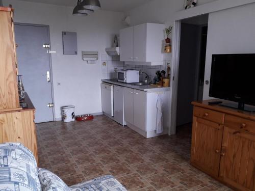 Apartamento Studio S�te, 1 Pi�ce, 2 Personnes - Fr-1-338-479