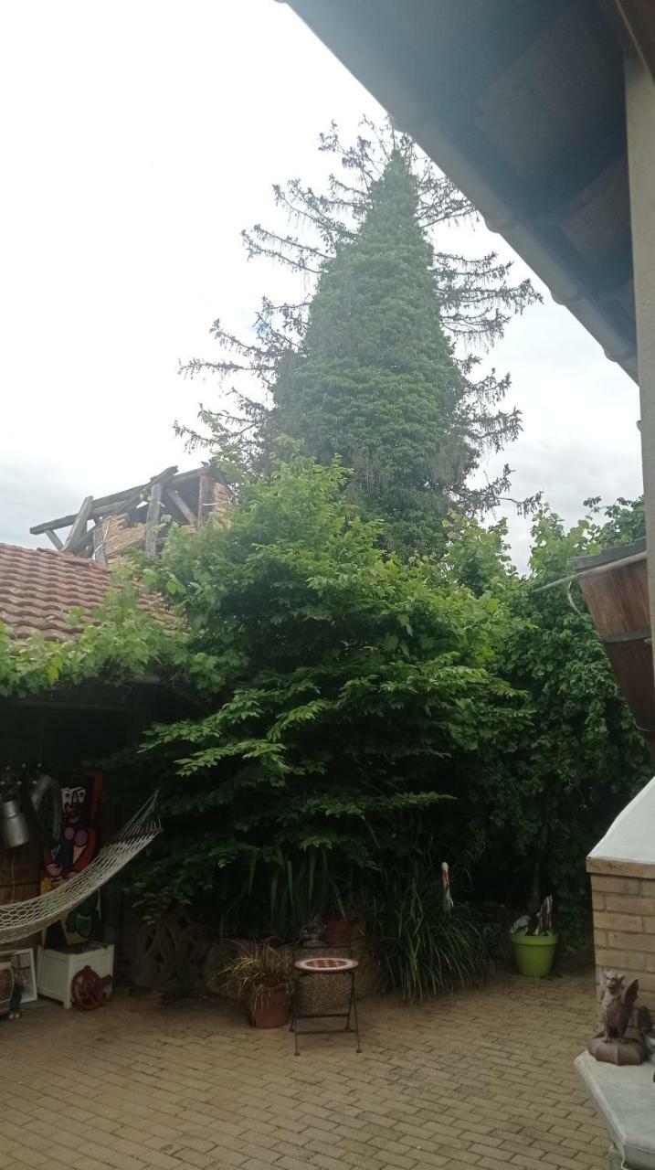 Apartamento Garden Duplex