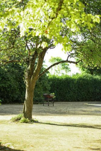 Hostal L'auglanas