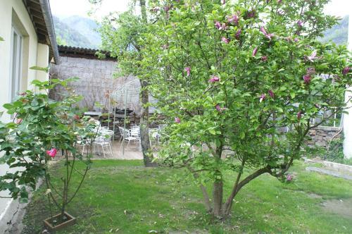 Hotel H�tel C�leste