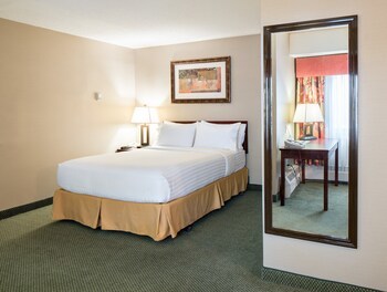 Hotel Holiday Inn Express Red Deer
