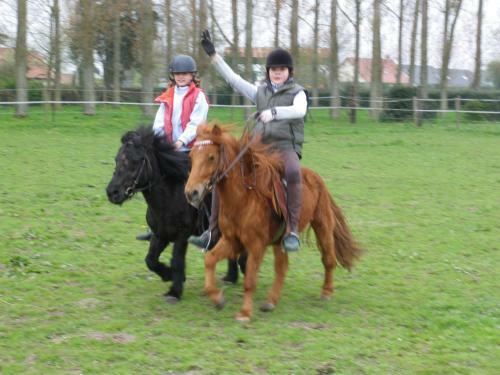 G�te Et Relais Equestre De Marie