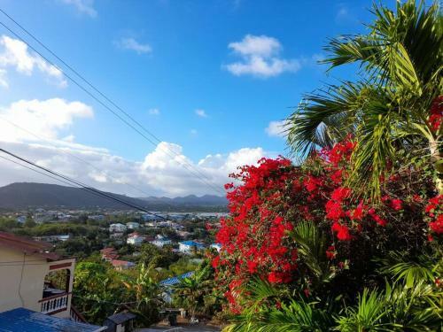 Apartamento Bougainvillea House