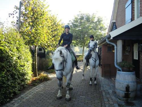 B&B Maarle