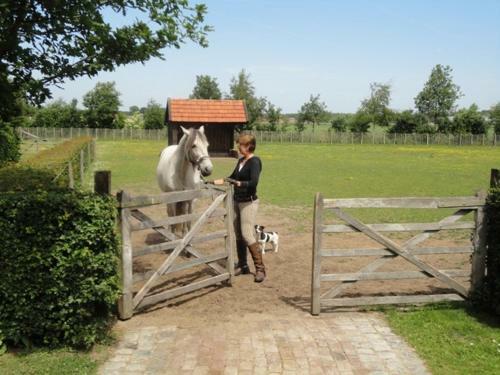 B&B Maarle