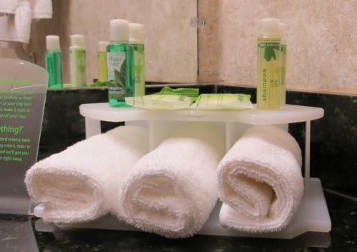 Hotel Holiday Inn Express & Suites Bozeman West