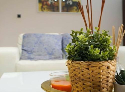 Apartamento Wonder Crib