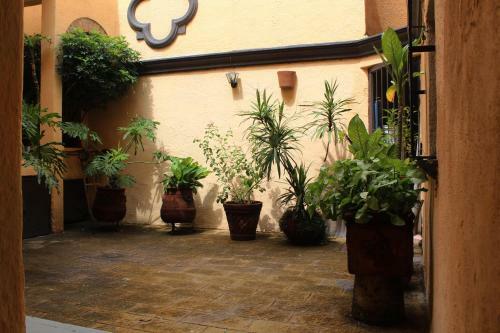 Apartamento Estudio 13/ Dos Camas/ Chapalita