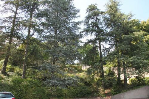 Bed & Breakfast Les Hauts De Perrache