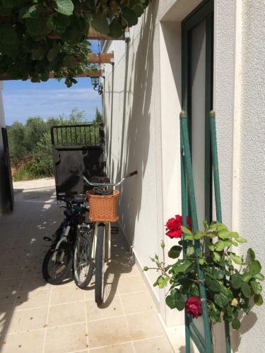 Apartamentos Villa Julia