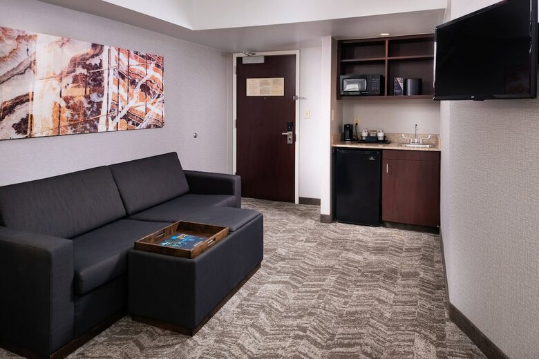 Hotel Springhill Suites By Marriott Pittsburgh North Shore