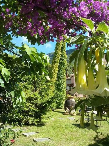 Apartamento Casa Di Elena