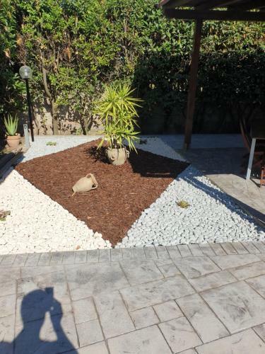Apartamento M&b