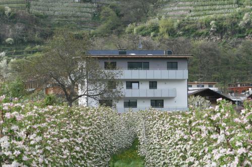 Apartamento Waalhof Ferienwohnung Apfelbl�te