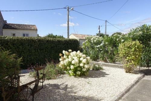 Maison Centre-ville Avec Jardin Priv� Jonzac