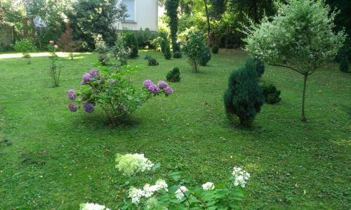 Hostal Hotel H�lscher