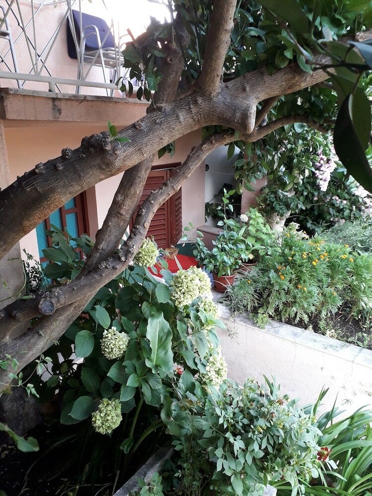 Hostal Guest House Roza