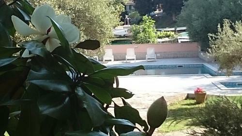 Hotel Carmen