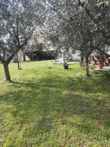 Hostal Guesthouse Amar