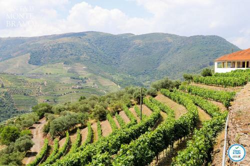 Agroturismo Quinta Do Monte Bravo - Douro - Quarto Duplo