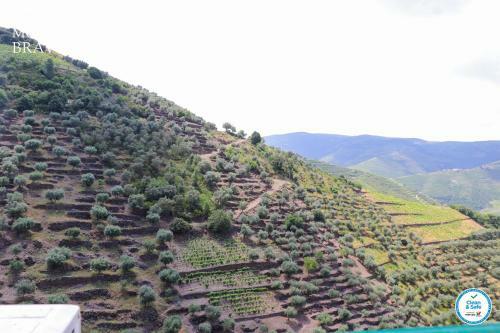 Agroturismo Quinta Do Monte Bravo - Douro - Quarto Duplo