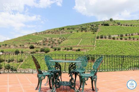 Agroturismo Quinta Do Monte Bravo - Douro - Quarto Duplo